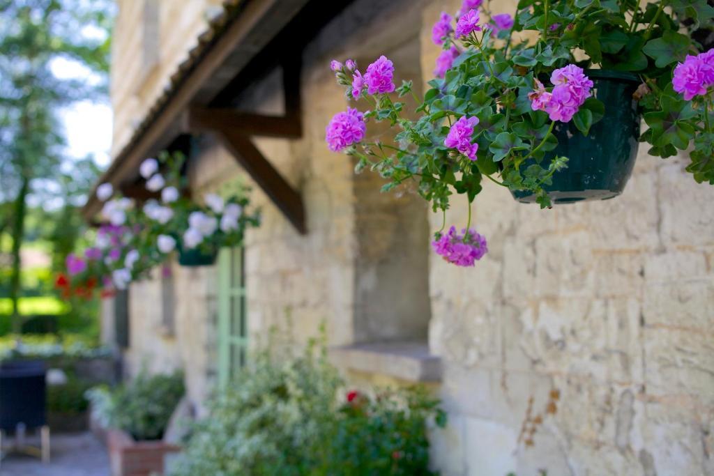 Le Domaine De Mombreux Hotel Lumbres Exterior photo